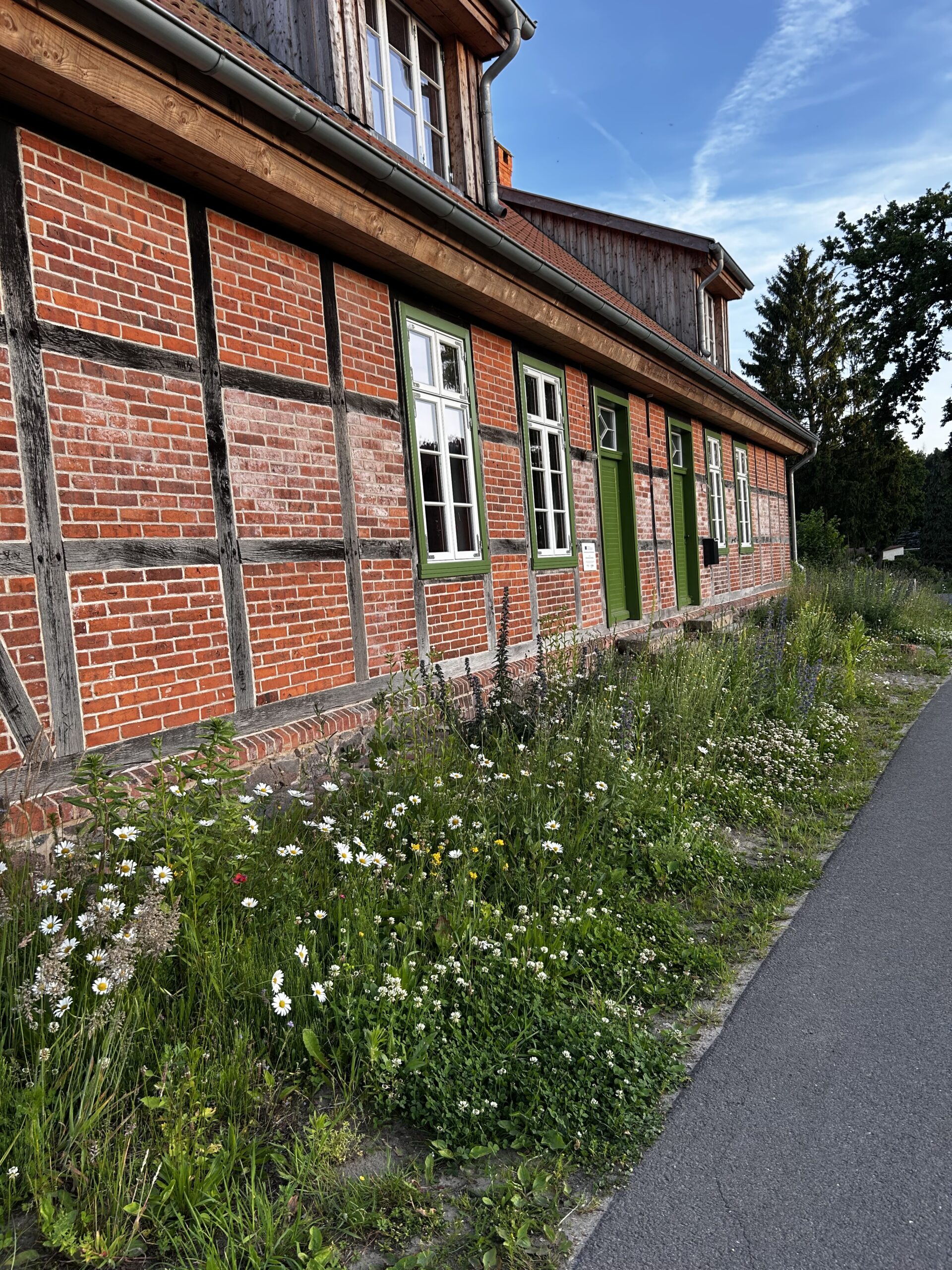 Blühstreifen vor dem Haus